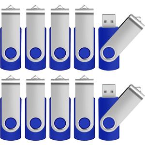 Generic 4 GB Flash Drive 10 Pack USB Flash Drives 4G USB 2.0 Memory Stick Thumb Drive(10Pack Blue, 4GB)