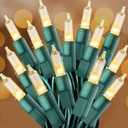 CXLHO Clear Christmas Lights 50FT 200 Incandescent Bulbs Warm White Mini Lights with Green Wire for Christmas Tree, Garland, Thanksgiving, Wedding, Party, Home, Indoor & Outdoor Festival Decoration