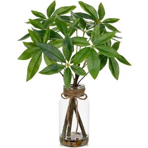 Faux Greenery Stems in Vase Aritificial Money Tree Plant in Glass Vase with Faux Water & Stones 14.2" Small Potted Plants Arrangement Centerpieces for Farmhouse Kitchen Dinner Tables Greenery Decor