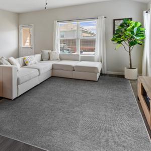 Area Rugs 8x10 Living Room Washable Rug Non Slip and Stain Resistant, Modern Chenille Weaving Rugs for Bedroom, Dining Room, Home Office, Kids Room, Dark Grey (8'x10', Dark Grey Chenille)