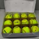 Wilson A9106 12" ASA Championship Series Synthetic SST Softball 1 Dozen