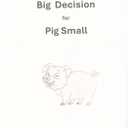 Big Decision for Pig Small