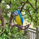 Hanging Scarlet Macaw Parrot Perching on Branch in Metal Round Ring for Home Patio Garden Decor 16" H (Blue and Yellow)