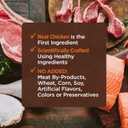 Wellness CORE Tiny Tasters Minced & Pate Kitten Wet Cat Food, Natural, Protein-Rich, Grain Free, 1.75-Ounce Pouch, 12 Pack, (Chicken Variety Pack)