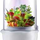Smart Venus Fly Trap Terrarium Pot with Timer&Fan,Succulent Planter with Grow Light,Indoor Plant Terrarium Kit for Carnivorous Plants,Sundew Moss,Cactus, for Dad (No Plant) (White)