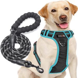 No Pull Dog Harness Adjustable Reflective Oxford Easy Control Large Dog Harness with A Free Heavy Duty 5ft Dog Leash, L