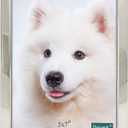 DECANIT 5x7 Picture Frames Silver Metal Photo Frames For Tabletop Display and Wall Decoration-Best Gifts For Family