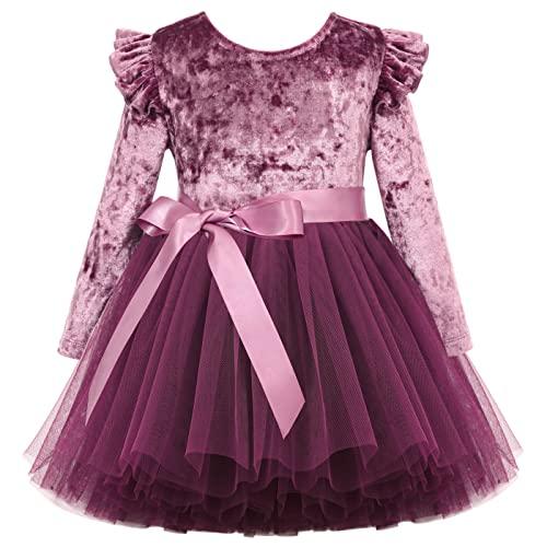 Flofallzique Toddler Party Dress Long Sleeve Velvet Tulle Girls Princess Dresses for (3T,Plum)