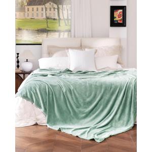 Sage Green Fleece Blanket Queen Size, Soft Cozy Blankets for Bed and Couch, Machine Washable Luxury Microfiber, Lightweight Portable Plush Blanket for Travel, Camping, Pets, Women, Adults (Queen(90"x90"))