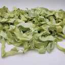 4 Yards,Green Vintage Ribbon