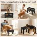 URPOWER Mess Proof Elevated Dog Bowls, High Wall Splash Guard Design, 4 Height Adjustable Raised Bowl Stand, 2 Stainless Steel Bowls, Non-Slip Food Water Set for Small Medium Large Dogs