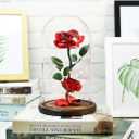 URBANSEASONS Beauty and The Beast Rose, Light Up Forever Roses Birthday Gifts for Women Mom Grandma, Red Rose Gift for Her Valentine Mothers Anniversary