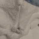 Shark Blanket Hoodie Onesie for Adult & Kid, Wearable Shark Sleeping Bag, Soft Cozy Onesie Costume Size XS