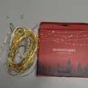 Fairy Lights USB Plug in 33ft 100LEDs with Remote, Warm White 20 Color Changing Light Twinkle Firefly String Lights for Bedroom Party Wedding Christmas Tapestry, Multicolor Colors