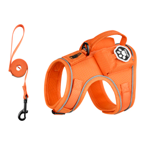CATATRIX CAT HARNESS