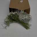Retrowavy 250 Pcs Babys Breath Artificial Flowers Bulk Babys Breath Flowers Gypsophila Bouquets with Faux Eucalyptus Stems Leaves for Wedding Bouquet Party Filler Home Decor