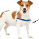 PetSafe Easy Walk Deluxe Dog Harness, No Pull Dog Harness – Perfect for Leash & Harness Training – Stops Pets from Pulling and Choking on Walks, Size Medium, Royal Blue/Navy