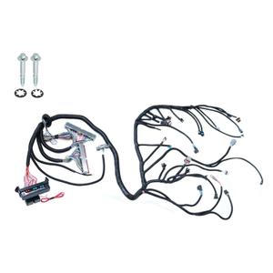 Standalone Wire Harness Compatible with LS Swaps Engine DBC 4.8 5.3 6.0 1997-2006 LS1-4L60E Drive by Cable LS1-4L60E 60A Relay EV1 Fuel Injector Connector