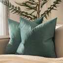 JUSPURBET Emerald Velvet Throw Pillow Covers 28x28 inch Set of 2 for Living Room Couch Sofa Bedroom Decorative Square Solid Soft Cushion Cases with Invisible Zipper