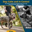 Crazy Felix No Pull Martingale Collar for Large Medium Small Dog Pitbull German Shepherd Doberman, Dog Collar Anti Pull with Buckle for Training Walking (Black, M/L-Neck 15-17", 1" Wide)
