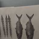 2 Pcs Jesus Feeds The 5000 Wall Art Miracle Of The Five Loaves And Two Fish Canvas Prints Black And White Christ Bible Verses Story Wall Decor Minimalist Posters Picture For Church Paintings Framed