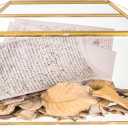 NCYP 12.6" x 5.9" x 9" Wedding Cards Box with Slot and Lock, Glass Card Holder for Party Reception, Centerpiece, Home Decorative, Gold (Glass Box Only) Slot Length 7.3 Inches