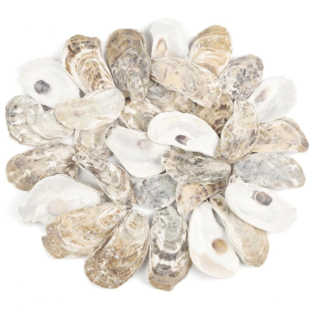 30 PCS Oyster Shells 2"-3" Small Oysters Shells Natural Oyster Seashells for Crafts Beach Theme Party Fish Tank and Vase Filler Home Decoration