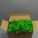 2pcs x 66ft Christmas Tinsel Garland with 40 Pcs Red Bows for Christmas Tree Birthday Party New Year Holiday Wedding Party Decoration(Lime Green)