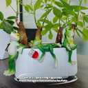 Tipsy Frog Pot Hugger, Frog Garden Decor Outdoor Statue, Resin Frog Figurines for Plant Decorations, Miniature Garden Frogs Gift for Nature Lovers (Brown)