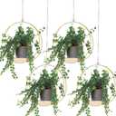 Geelin 4 Pack Plant Hanger with Wood Base Hanging Window Planter Boho Macrame Hanging Potted Plant Holders for Indoor Outdoor Window Wall Ceiling Home Decoration, Pot & Sapling Not Included(Gold)