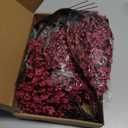 Giegxin 24 Pcs Babys Breath Silk Artificial Flowers Red Faux Flower 19.6 Inch Gypsophila Bouquets Bulk Burgundy Real Touch Floral for Vase Spring Decoration Home Office Table Centerpiece, Wine Red