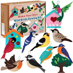 CiyvoLyeen Wild Birds Sewing Craft Kit Animal Sewing Kit for Boys and Girls Beginners Set of 12 Sewing Projects Gift for Kids (Birdie-12 Pcs)