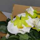 Sggvecsy 4Pcs 31Ft Artificial Rose Vine Fake Flower Garland Floral Garland Faux Silk Hanging Vine Rose Ivy Vines for Wedding Arch Party Wall Garden Ceremony Background Outdoor Decor (White)