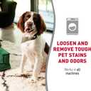 Natures Miracle Laundry Boost In-Wash Stain and Odor Remover, 32 Ounces, Laundry Stain and Odor Removing Additive For All Machines