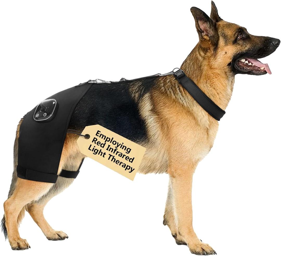 Dog Hip Brace with Red Infrared Light Therapy Pain Relief for Arthritis, Hip Dysplasia, Spine Issues & Muscle Recovery, Portable & Cordless, Patent Pending (Male Dog, XXL) 