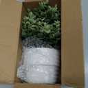 Coferset Small Fake Plants 7.45 Eucalyptus Potted Artificial Eucalyptus Plant for Bedroom Kitchen House Living Room Shelves Farmhouse Table Office Desk Bathroom Home Indoor Decor (Green)