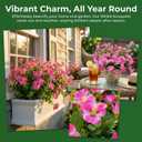 trytuny Artificial Flowers for Outdoor, Realistic Faux Plants for Outside Indoor Porch Patio Window Box Planter Home Decor (12pcs - Rose red)