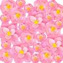 Giant Paper Flowers Artificial Large Paper Flower Decoration for Handcrafted Wall Backdrop Christmas Mexican Wedding Graduation Bridal Shower Birthday Party Supplies(Gradient Pink,24 Pcs)