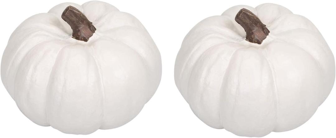 Elanze Designs Classic White 6 inch Resin Harvest Decorative Pumpkins Pack of 2