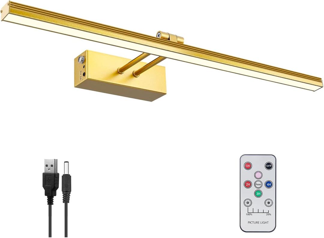2 Pcs FUNCHDAY Picture Light,Battery Art Lights for Wall,Wireless Remote Painting Light with Timer and Dimmable,20Metal Display Lighting for Artwork,Portrait,Gallery-Gold