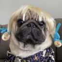 9 x Funny Dog Cat Cosplay Wig, Pet Wigs for Halloween, Christmas, Parties, Festivals, Dog Wigs for Small Medium and Large Dogs(Golden Braid)