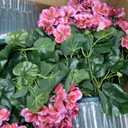 QIANYUN Artificial Geranium Bush  20 Inch Outdoor Potted Artificial Plant for Front Porch, UV Resistant Faux Flower Bush for Garden, Yard & Patio Decor (2 Pack) (Dark Pink)