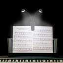 TEECOO 2 Pack Music Stand Light, Clip on Piano Light, USB and AAA Battery Operated, Eye Caring LED Book Lights, 2 Arm x 2 Brightness Levels, Ideal for Piano, Sheet Music, Orchestra, Guitar