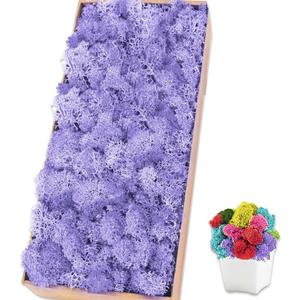 Preserved Moss for Crafts Light Purple Reindeer Moss for Potted Plants, Craft Decorative Moss Decor for Wall Art, Dried Moss(1.1 lb, Light Purple)