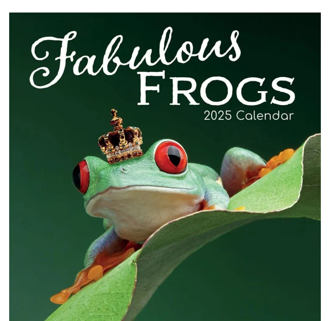 Fabulous Frogs 2025 Wall Calendar
