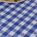 Vinyl Fitted Picnic Table Cover with Bench Covers & Blue 6ft Blue Checkered