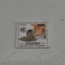 Cat Toys - Silvervine Powder 45g with 5 Resealable Pouches, Catnip Alternative, 100% Natural Silver Vine Gall Fruit Powder, Matatabi Cat Toy, Suitable for All Cat Ages (Wood)