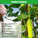 300 PCS Green Plant Fixing Clips,Plant Support Clips, Tomato Clips, Plastic Trellis Clips,Garden Clip for Fixing Stem and Vine