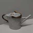 Megawodar 1 Gallon Metal Watering Can with Removable Spout, Nice Galvanized Steel Water Can with Embossed Design for Indoor and Outdoor Plants