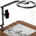 Ring Light with Stand and Phone Holder, USB 10" Ring Light for Desk, Overhead Camera Mount with Ringlight, Desk Lamp with Clamp for Photography/Makeup/Live StreamVideo/YouTube